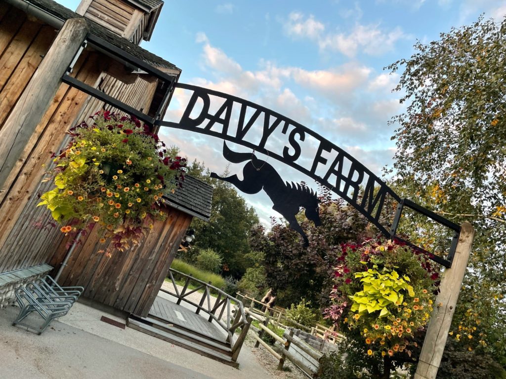 Disney's Ranch Davy Crockett